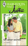 Portada de Un amor secreto de Lucy Gordon