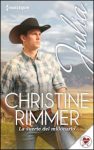 Portada de La suerte del millonario de Christine Rimmer