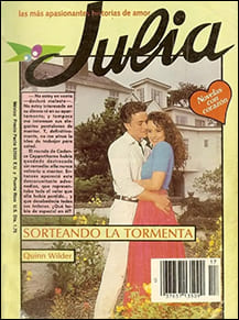 Portada de Sorteando la tormenta de Quinn Wilder